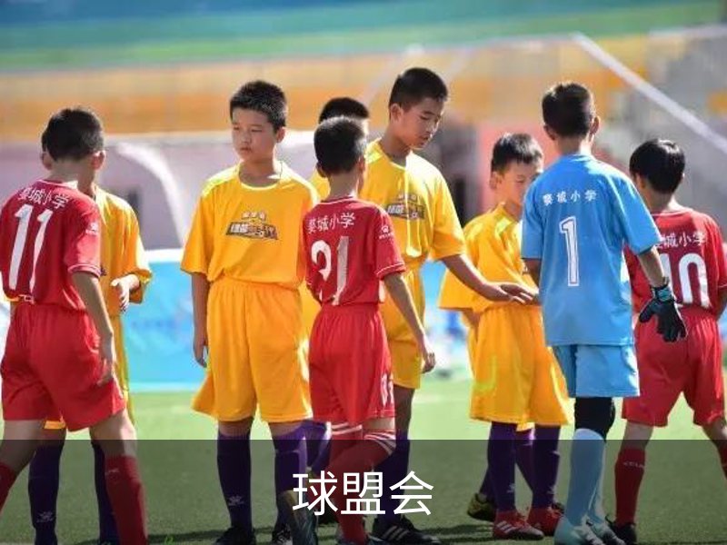 球盟会·QMH (体育)-官方网站